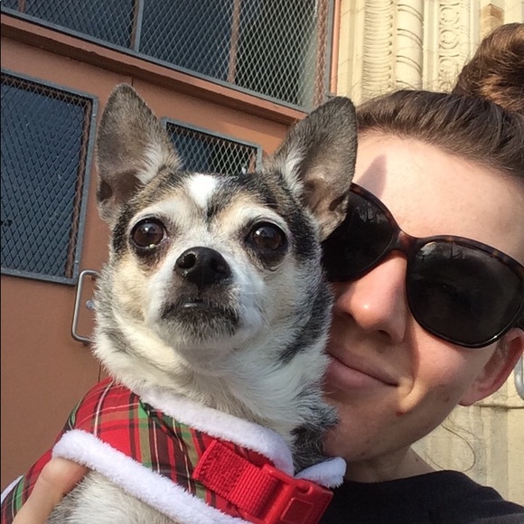 Sam! - Picture 3 of 3